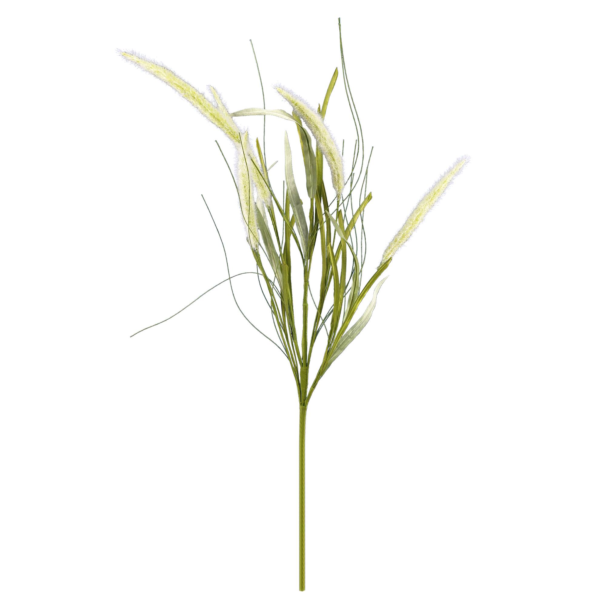 36" Cream Bunny Tail Stem by Ashland®